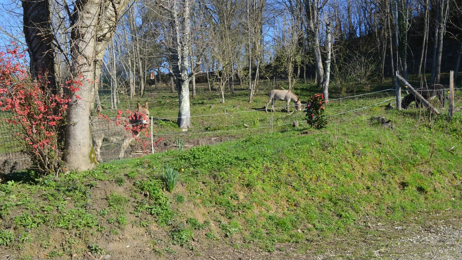 Gites Du Chateau De Lestang Auzits Apartment